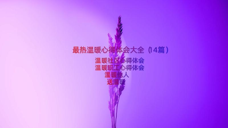 最热温暖心得体会大全（14篇）