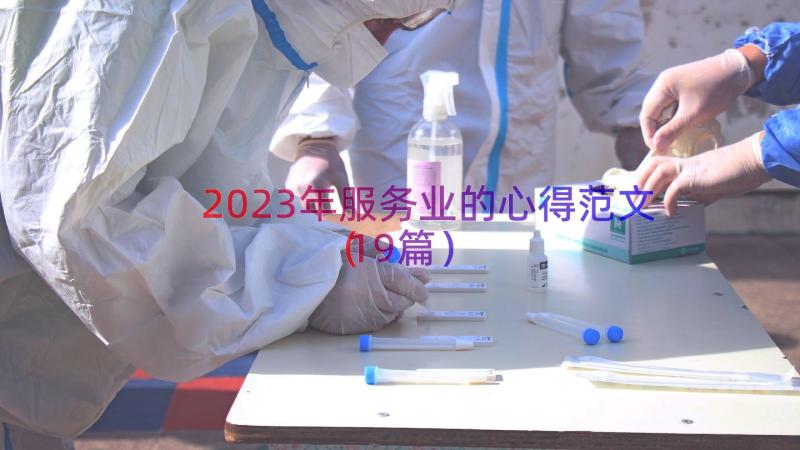 2023年服务业的心得范文（19篇）