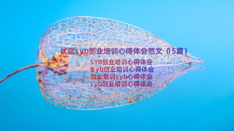 优质syb创业培训心得体会范文（15篇）