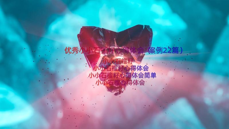 优秀小小石榴籽心得体会（案例22篇）