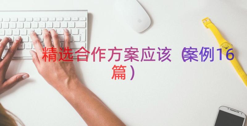 精选合作方案应该（案例16篇）