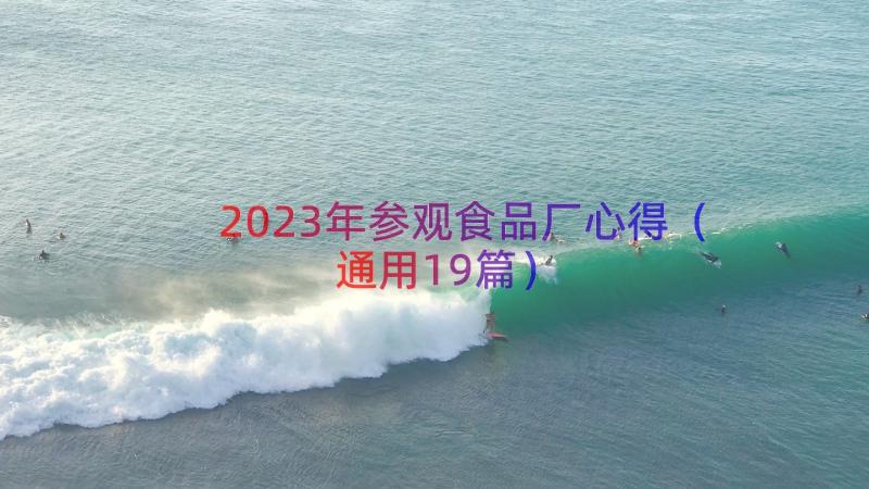 2023年参观食品厂心得（通用19篇）