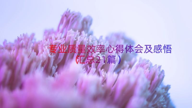 专业质量效率心得体会及感悟（汇总21篇）