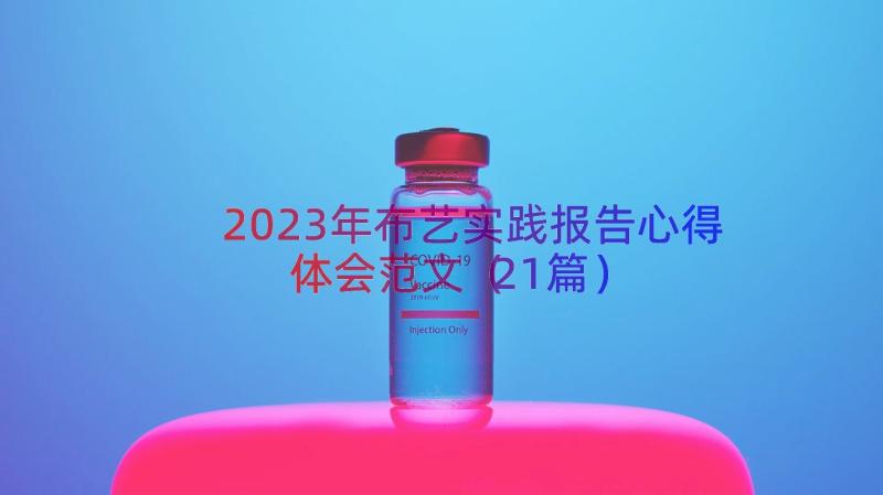 2023年布艺实践报告心得体会范文（21篇）