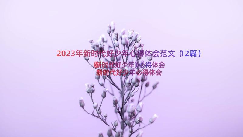 2023年新时代好少年心得体会范文（12篇）