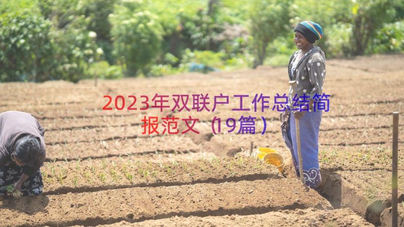 2023年双联户工作总结简报范文（19篇）