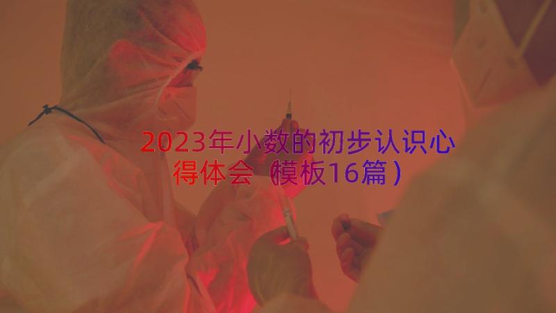 2023年小数的初步认识心得体会（模板16篇）