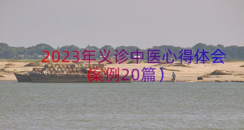 2023年义诊中医心得体会（案例20篇）