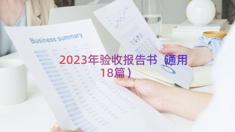 2023年验收报告书（通用18篇）