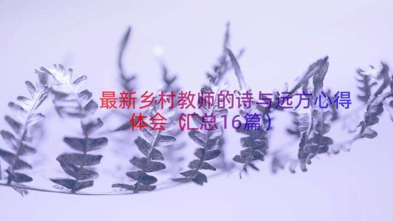 最新乡村教师的诗与远方心得体会（汇总16篇）