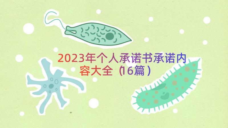 2023年个人承诺书承诺内容大全（16篇）