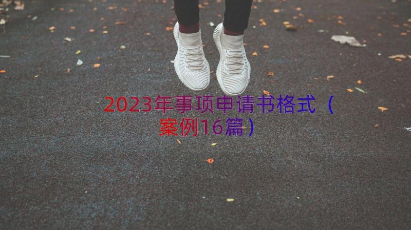 2023年事项申请书格式（案例16篇）