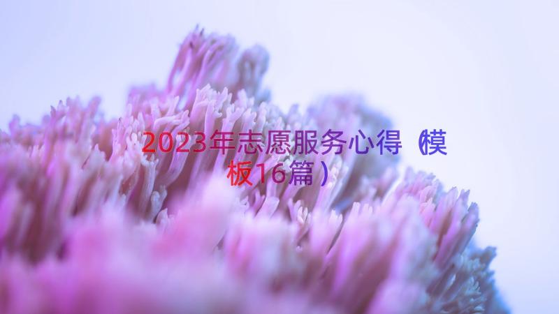 2023年志愿服务心得（模板16篇）