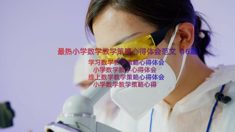 最热小学数学教学策略心得体会范文（16篇）