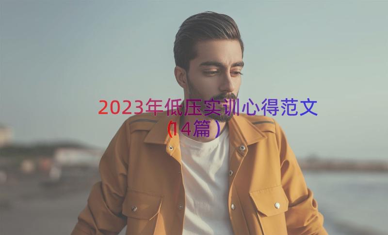 2023年低压实训心得范文（14篇）