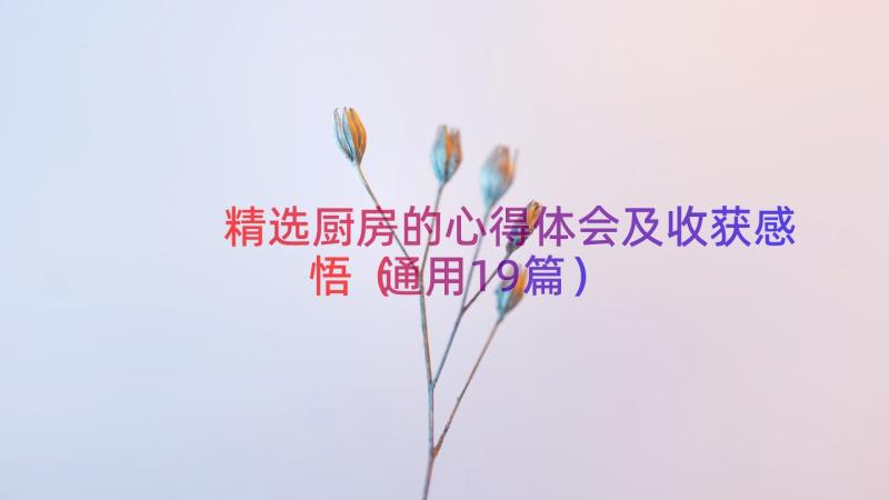 精选厨房的心得体会及收获感悟（通用19篇）