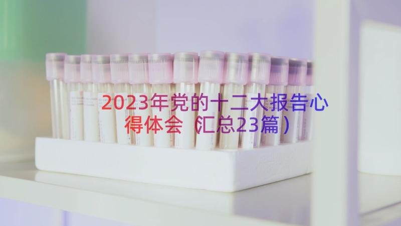 2023年党的十二大报告心得体会（汇总23篇）