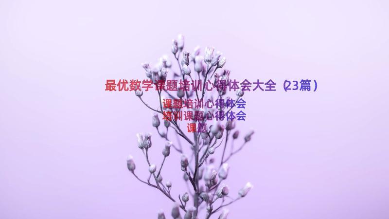 最优数学课题培训心得体会大全（23篇）