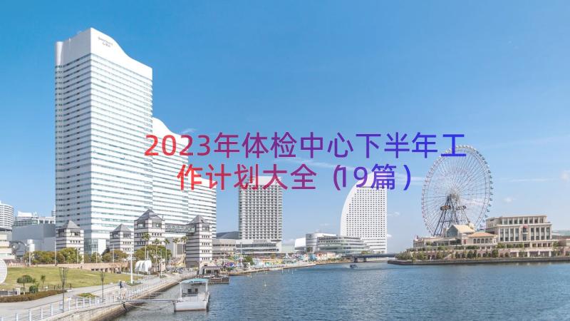 2023年体检中心下半年工作计划大全（19篇）