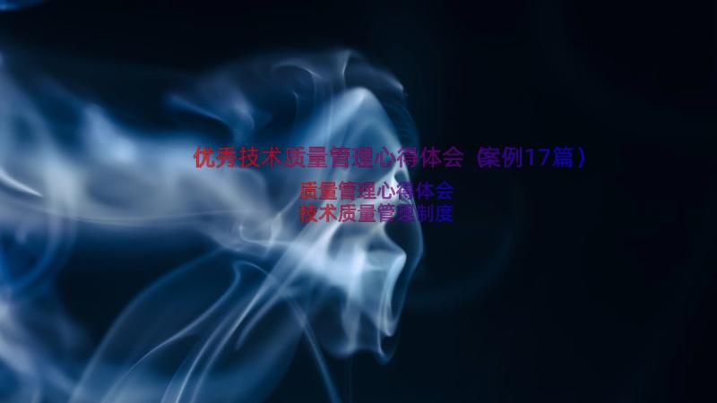 优秀技术质量管理心得体会（案例17篇）