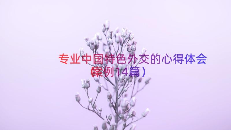 专业中国特色外交的心得体会（案例14篇）