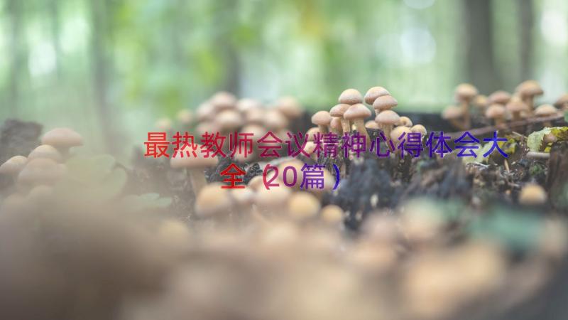 最热教师会议精神心得体会大全（20篇）