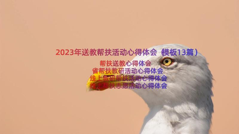 2023年送教帮扶活动心得体会（模板13篇）