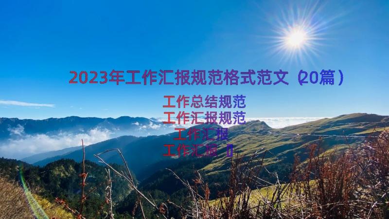 2023年工作汇报规范格式范文（20篇）