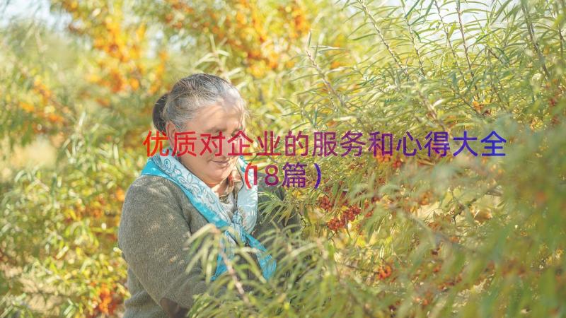 优质对企业的服务和心得大全（18篇）