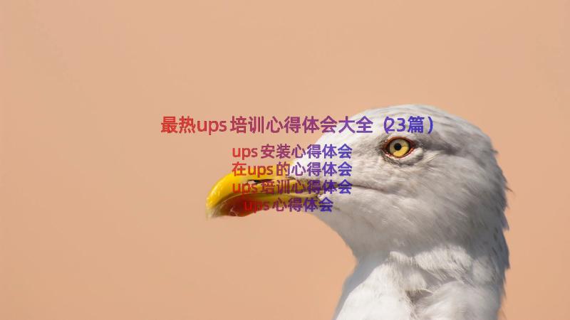 最热ups培训心得体会大全（23篇）