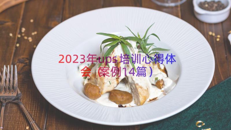 2023年ups培训心得体会（案例14篇）