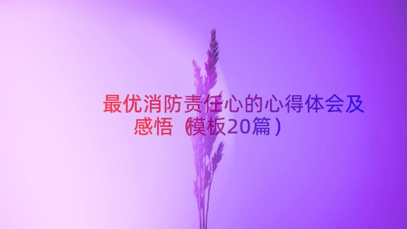 最优消防责任心的心得体会及感悟（模板20篇）