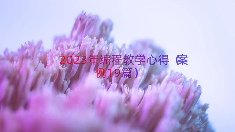 2023年编程教学心得（案例19篇）