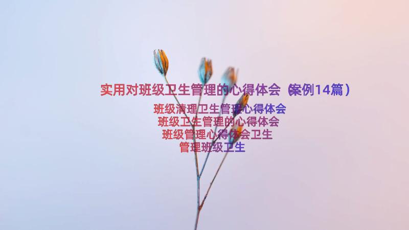 实用对班级卫生管理的心得体会（案例14篇）