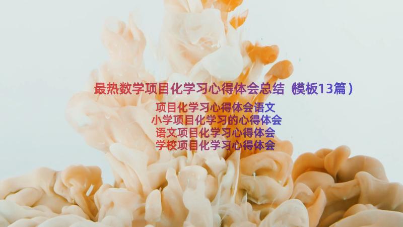 最热数学项目化学习心得体会总结（模板13篇）