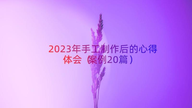 2023年手工制作后的心得体会（案例20篇）