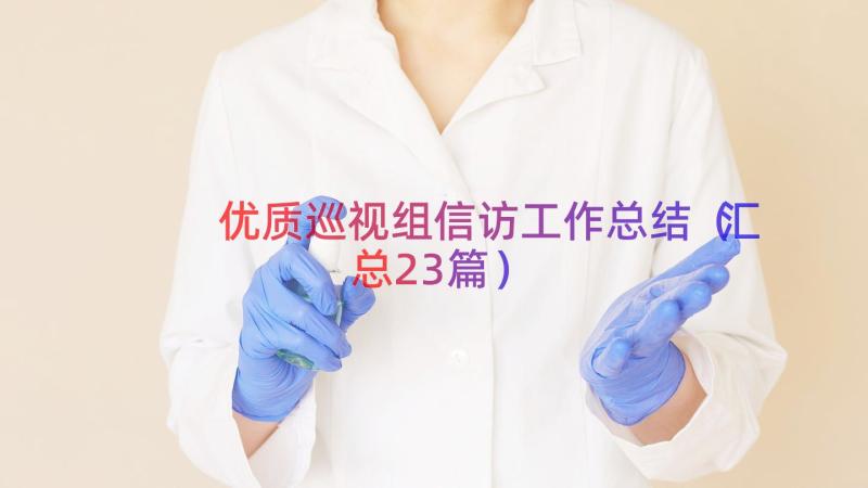 优质巡视组信访工作总结（汇总23篇）