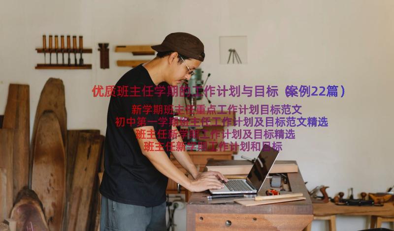 优质班主任学期的工作计划与目标（案例22篇）