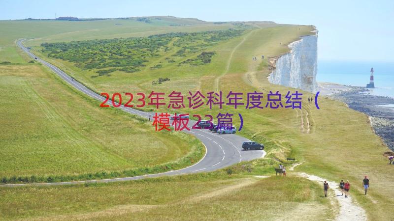 2023年急诊科年度总结（模板23篇）