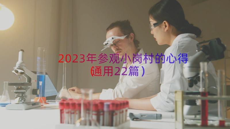 2023年参观小岗村的心得（通用22篇）