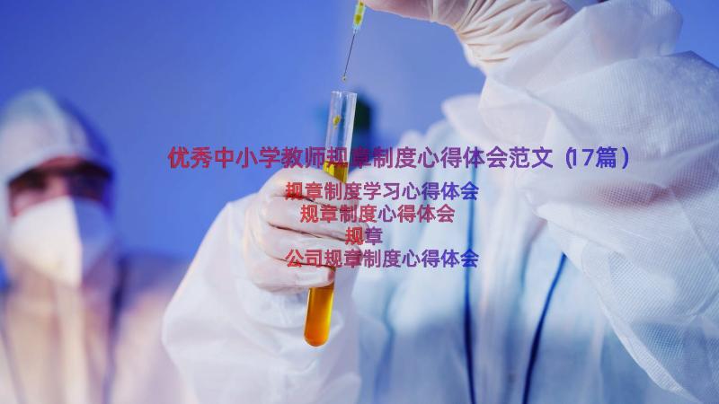 优秀中小学教师规章制度心得体会范文（17篇）