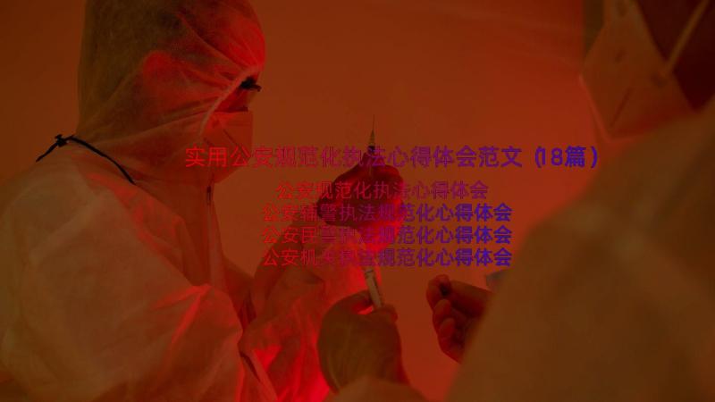 实用公安规范化执法心得体会范文（18篇）