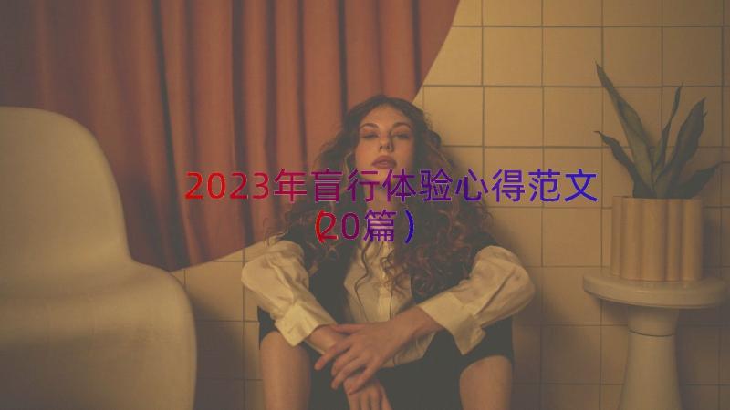 2023年盲行体验心得范文（20篇）