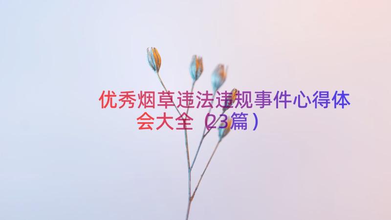 优秀烟草违法违规事件心得体会大全（23篇）