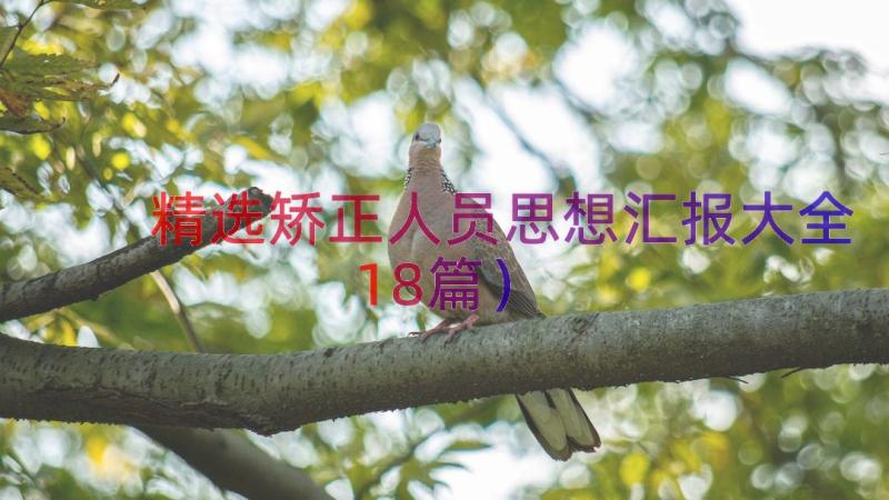 精选矫正人员思想汇报大全（18篇）