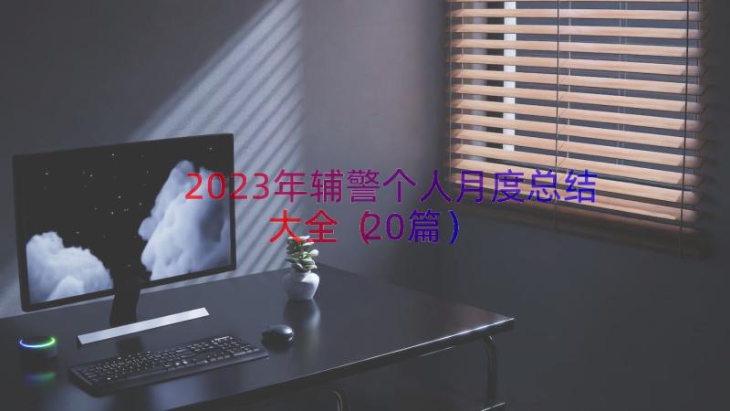 2023年辅警个人月度总结大全（20篇）