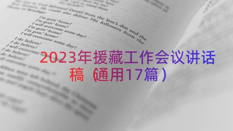 2023年援藏工作会议讲话稿（通用17篇）