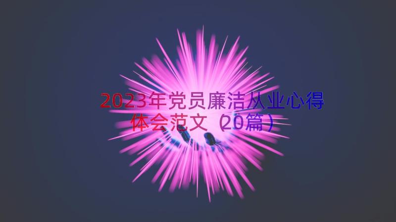 2023年党员廉洁从业心得体会范文（20篇）