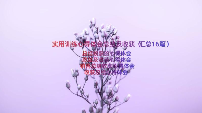 实用训练心得体会总结及收获（汇总16篇）