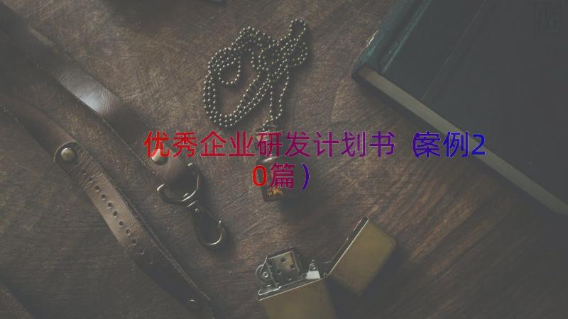 优秀企业研发计划书（案例20篇）